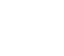 Wyld Clothing Company